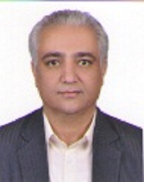  محمود نسائی